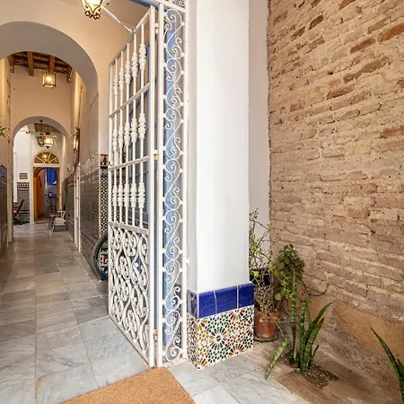 Apartmán Allo Francos Iii Parking Centro 1 *
